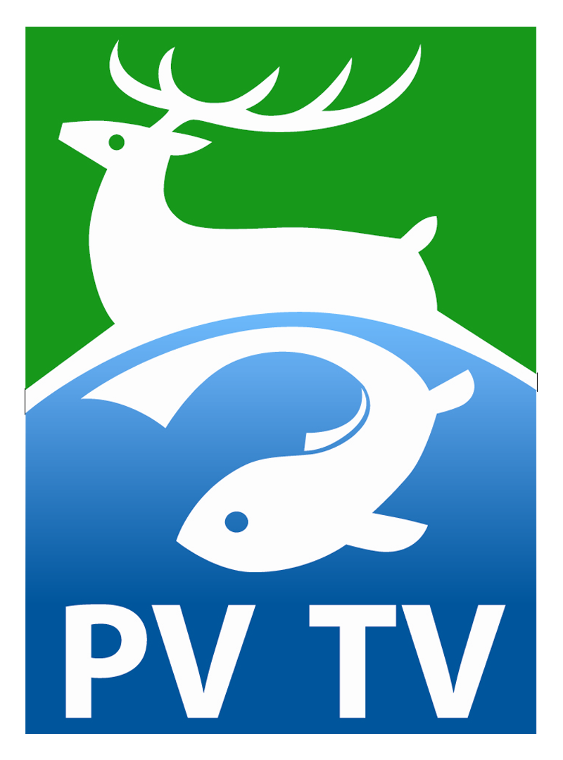 PVTV Online Free